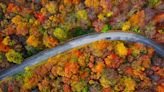 It's leaf peeping season! Here's the best way to catch the changing foliage this fall.