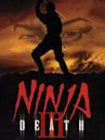 Ninja death III