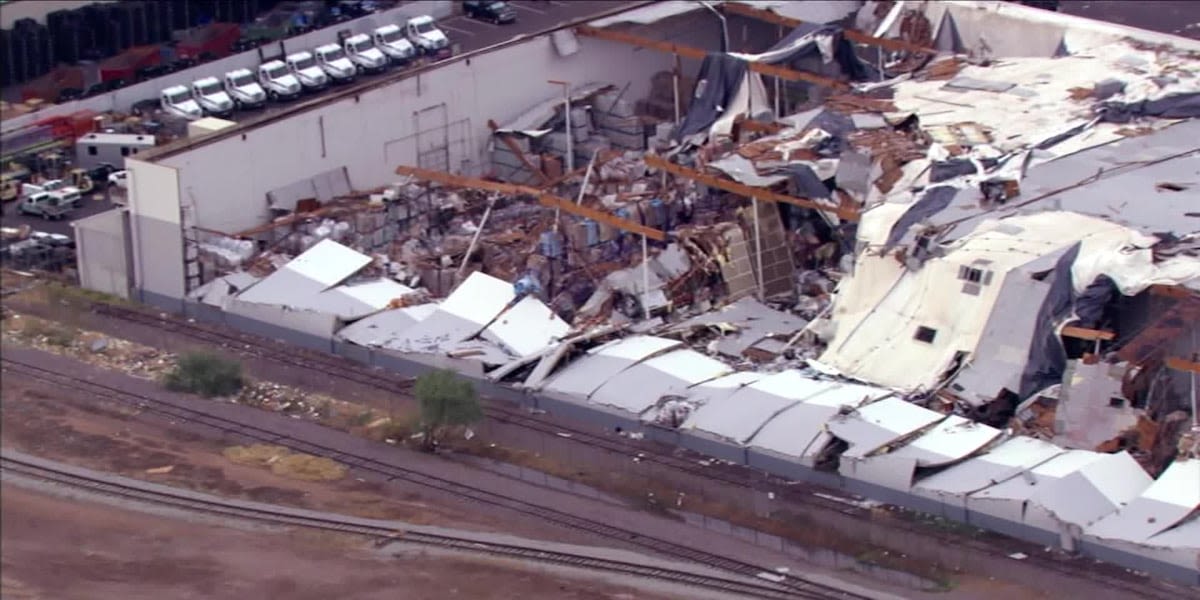 Dozens of trees uprooted, power lines down, buildings damaged after microburst hits west Phoenix