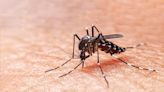 Gilas Pilipinas joins dengue prevention campaign