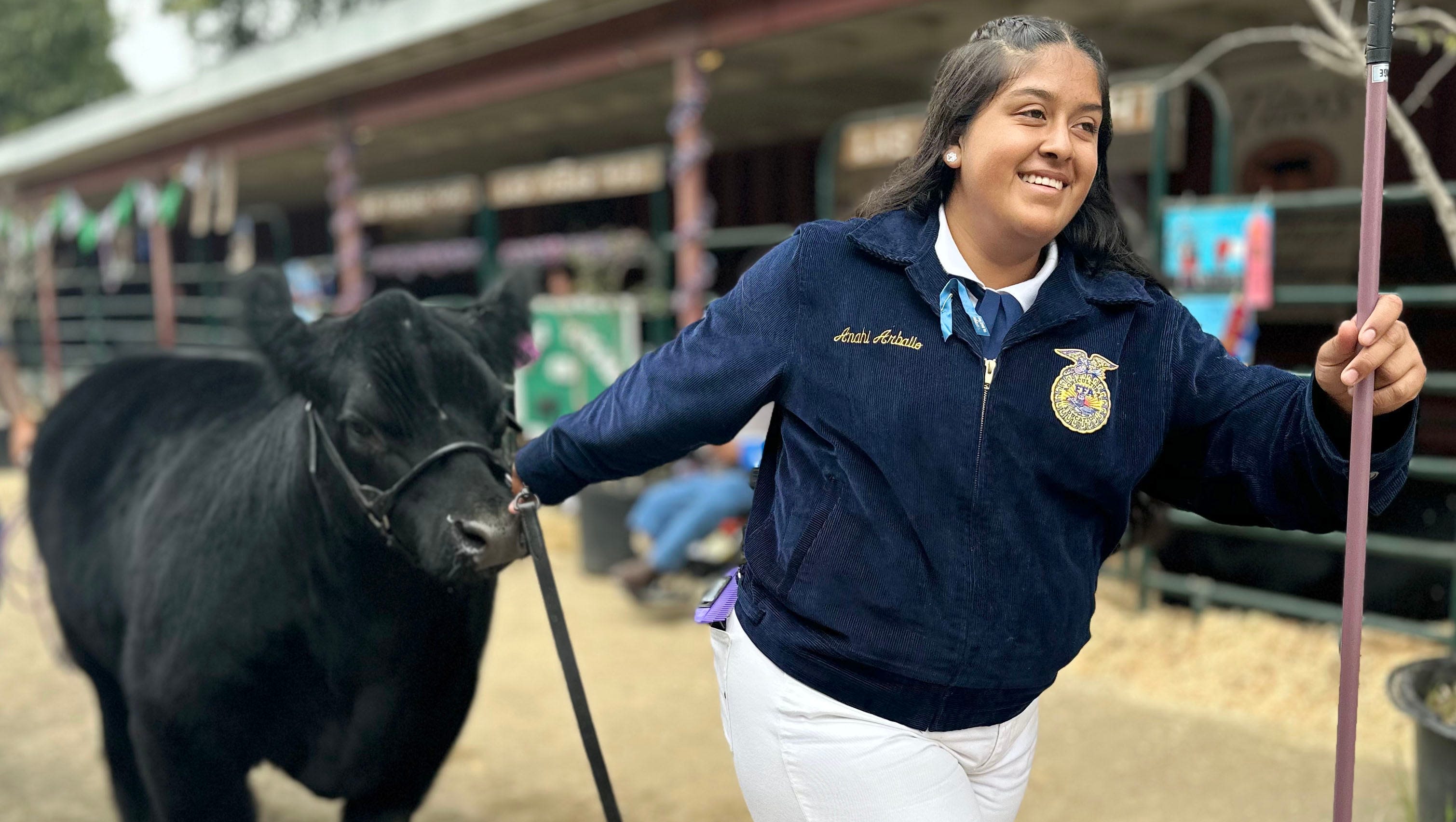 The Ventura County Fair starts Wednesday; here's what you need to know