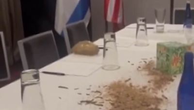 Pro-Palestine activists launch disgusting protest on Netanyahu's table