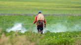 Common pesticides linked to reduction in sperm count, study finds