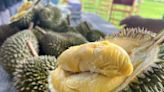 Penang banks on durian tourism to drive up local economy