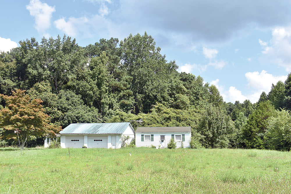 Middlesex County closer to harvest of timber • SSentinel.com