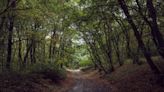 Cleary Lake Regional Park Hosts Mindfulness Hike this June