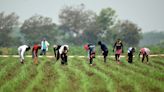 Bukele ratifica la ley que suspende los aranceles de más de 110 productos en El Salvador