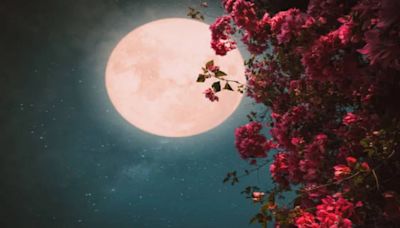 Luna de Flores en Colombia: cuándo se verá el fenómeno astronómico y de qué se trata