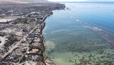 Thermal Runaway: How Hawaii’s Green Obsession Exacerbated the Worst American Wildfire in a Century - The American Spectator...