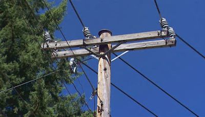 Consumer advocacy group looks to change how utilities' rates are regulated in Oregon