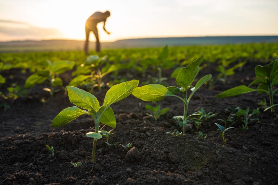 Baldwin County event to celebrate farmers, agricultural history