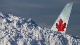 'We're in a state of chaos': Travellers in Canada left stranded for hours in planes, at airports as snow storms wreak havoc