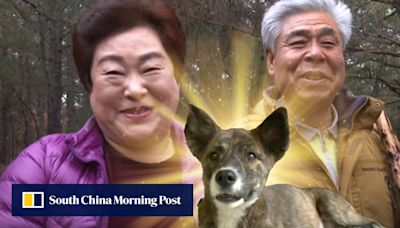 ‘Miracle’ dog that rose from grave after car accident is South Korean legend