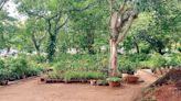 A novel way to keep Cheluvamba Park greener - Star of Mysore