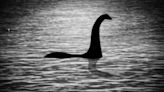 Bizarre Loch Ness Microbe Hunts with a Hyperextensible Origami Neck