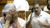 Nirmala Sitharaman Laughs Out Loud At Rahul Gandhi's Lok Sabha Remark | Watch