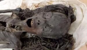 ‘Screaming Woman’ mummy probably died in agony over 3,000 years ago | Fox 11 Tri Cities Fox 41 Yakima