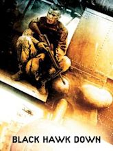 Black Hawk Down (film)