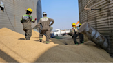 Tragedia en San Pedro: un operario murió al caer dentro de un silo repleto de soja