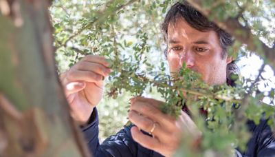 Quién es el científico argentino reconocido en el mundo por identificar qué impulsa la pérdida de biodiversidad