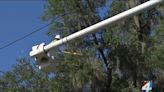 JEA trims trees ahead of hurricane season to reduce risk of branches falling on powerlines