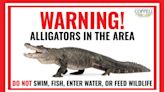 Warning issued after an alligator is spotted in this Dallas-Fort Worth suburb