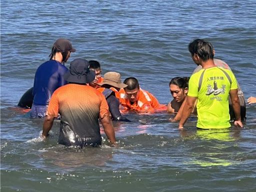 花紋海豚擱淺台南漁光島 海巡、成大聯手救援 - 生活