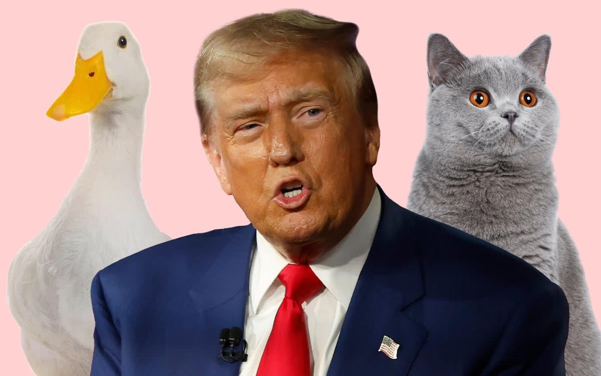 The truth behind Trump’s pet-eating conspiracy theory