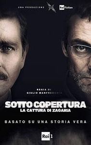 Sotto copertura: La cattura di Zagaria