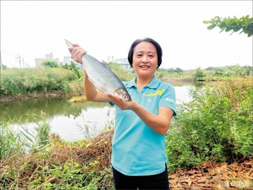 虱目魚為台南市魚 「虱目魚女王」發起連署