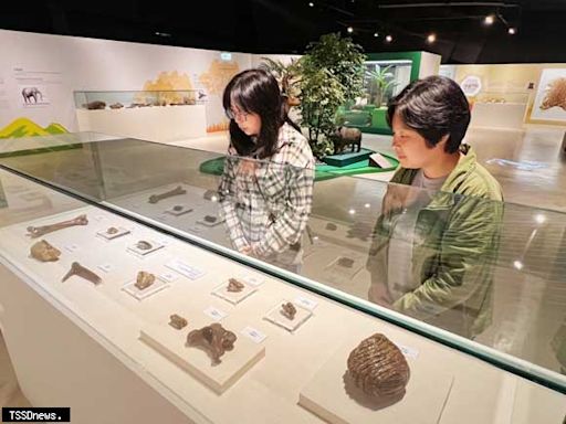 新北考古生活節台日連線 跨越千里同步展出動物考古特展