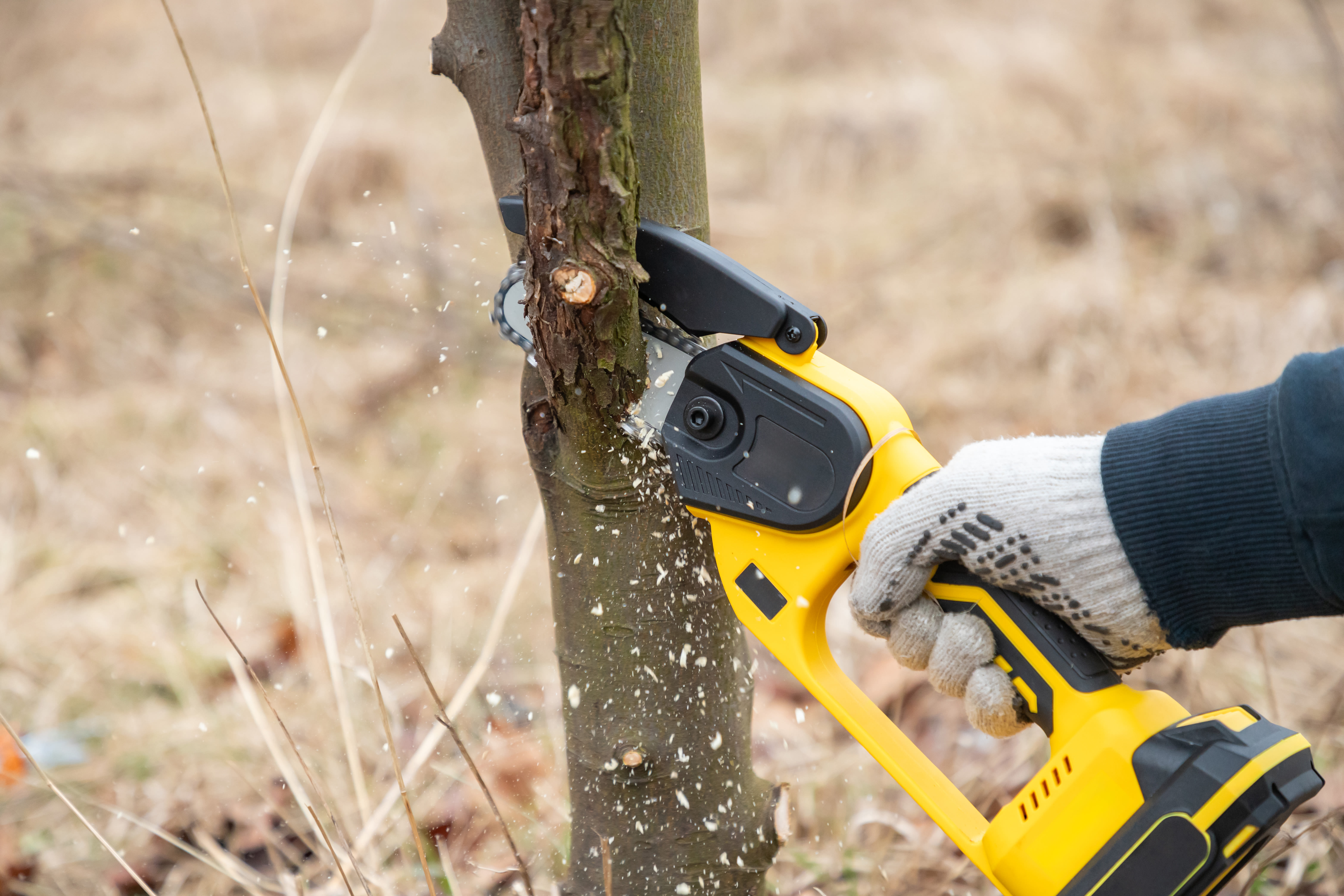 Sales of this 'powerful' mini chainsaw have risen 20,000% on Amazon Canada — and it's under $120