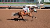 Dark Nme romps in Rainbow Futurity, sets track record at 400 yards