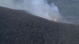 Crews battle scores of wildfires in Virginia, including a blaze in Shenandoah National Park
