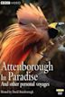 Attenborough in Paradise