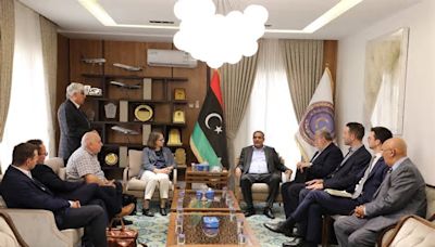 Minister of Transport discusses return of Austrian companies to Libya