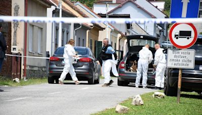 克羅地亞槍手血洗護老院6死6傷 一死者是疑兇母親