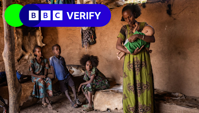 Satellite images and doctor testimony reveal Tigray hunger crisis