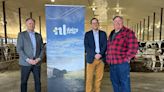 Milk like no udder: N.L. dairy farmers launch co-op to localize sector