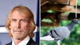 'Transformers' director Michael Bay charged over claims a pigeon was killed on a movie set in Italy. He says no animals involved in the movie were harmed.