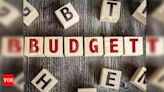 Budget plugs double deduction relating to overseas tax - Times of India