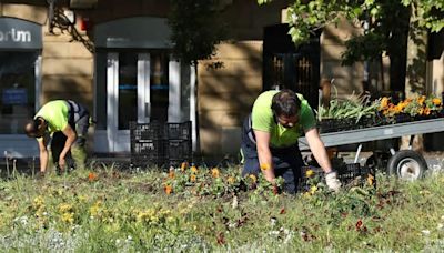 Un césped florido y protegido en el paseo de Francia