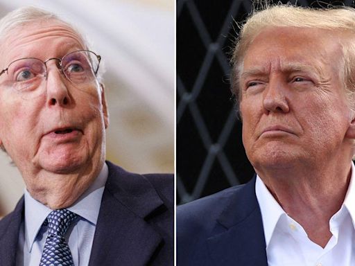 Mitch McConnell Mocks Donald Trump's 'Beyond Stupid' Request to Shut Down the Government Over Baseless Illegal Voter Claim