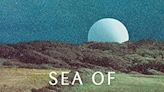 Book Look: Time travel and mystery to discover in sci-fi dystopia 'Sea of Tranquility'