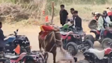 「馬生意」釀悲劇！男孩騎馬被拖行數百米後身亡 警方逮捕涉事馬主