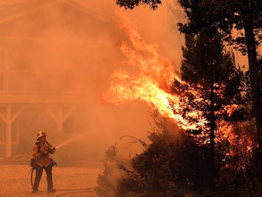 California wildfires: Point Fire in Sonoma County is 50% contained, growth stops