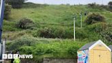 Bournemouth stabbing: Police search cliffs after Amie Gray's death