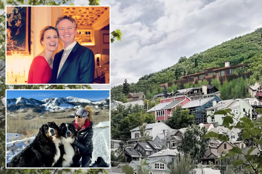 Tech billionaire sues neighbors at ritzy Utah ski resort, claiming dogs pooped on his property, menaced toddler and 82-year-old mom