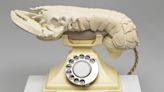 An AI Salvador Dalí will answer any question when called on his famous 'lobster phone'