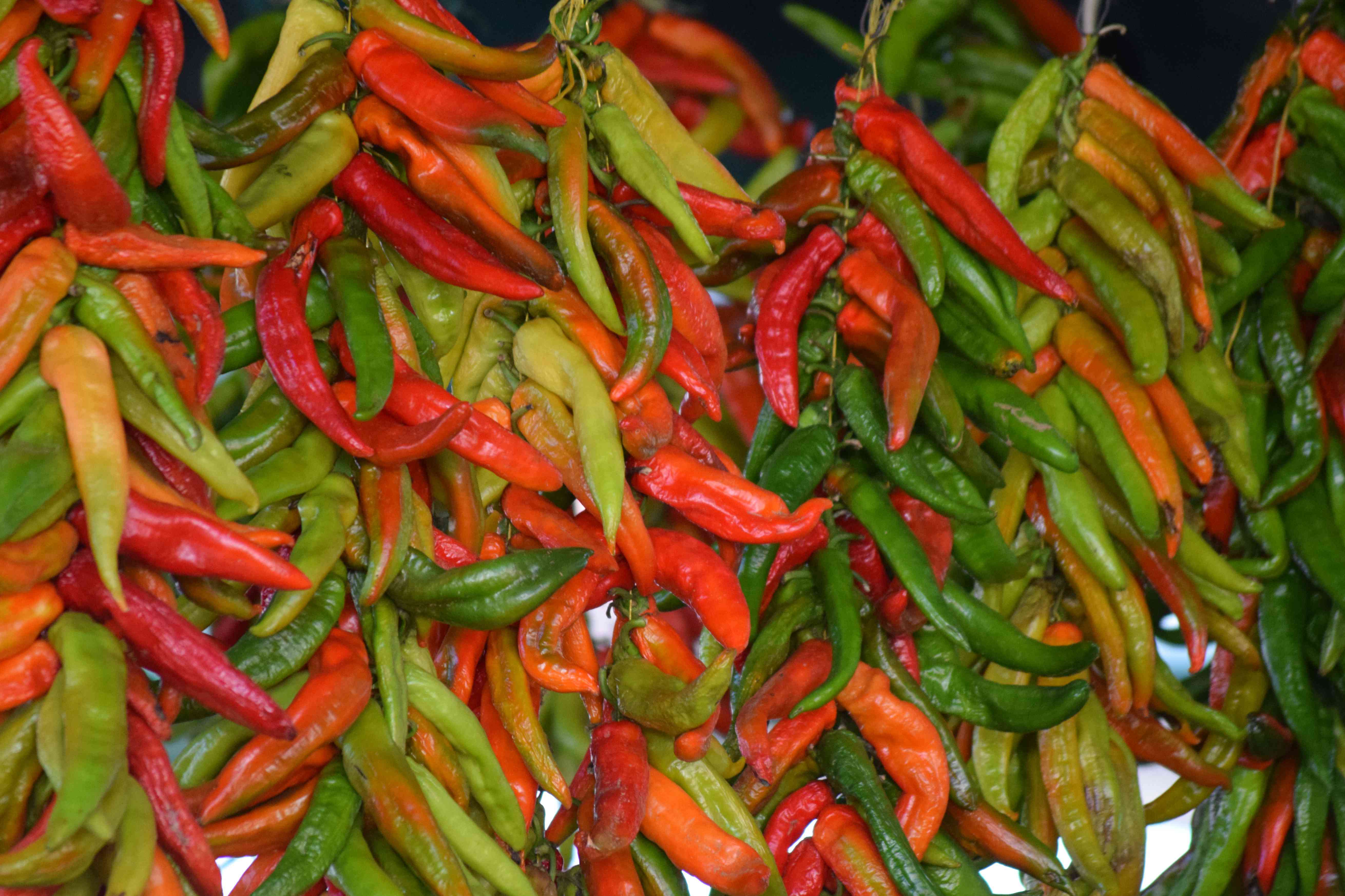 What Makes Hatch Chiles So Special?